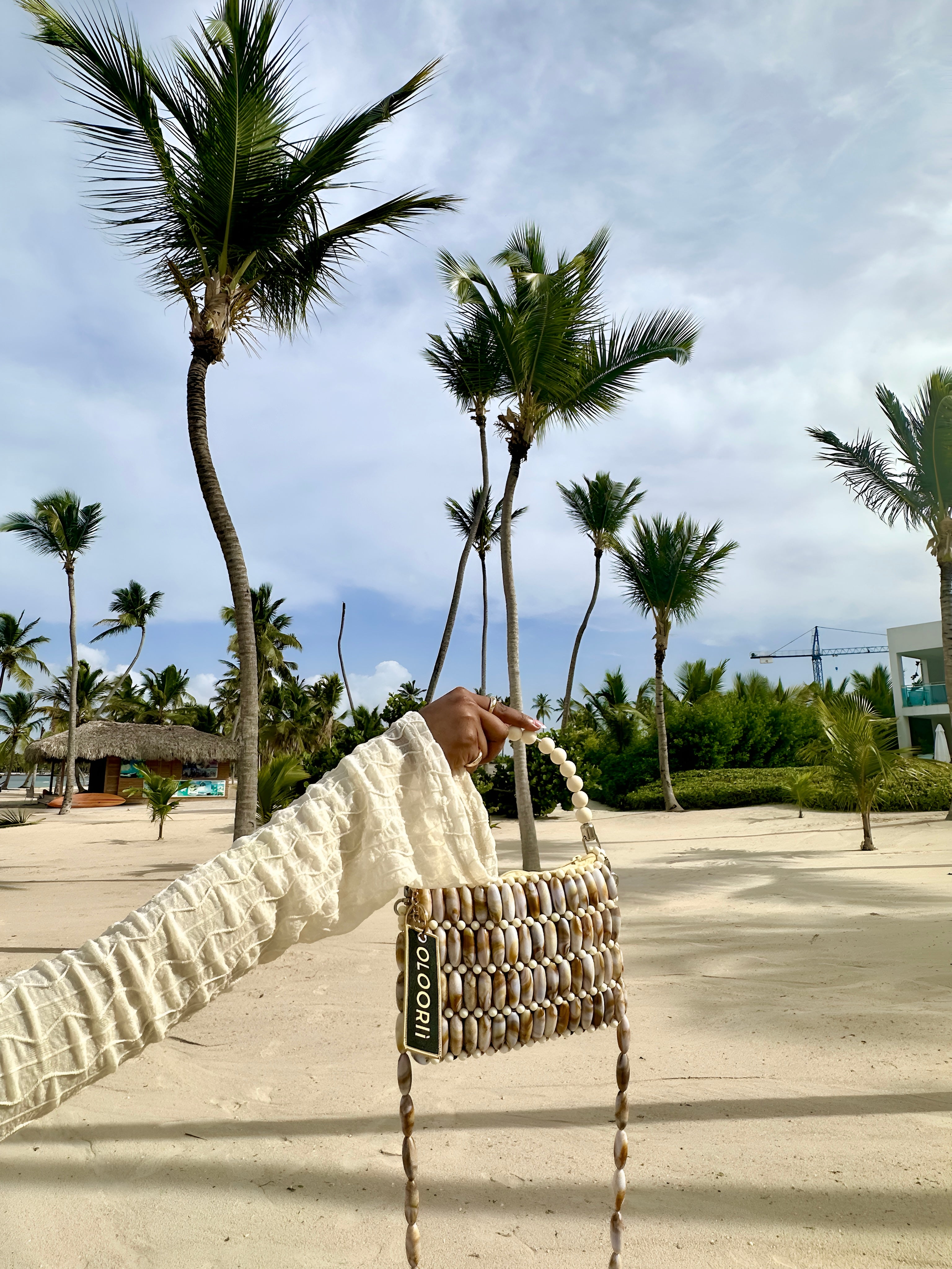 Beaded bags, tops, purses, accessories